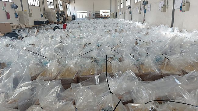 Referendum 2022: 1 milione e mezzo di schede a Firenze