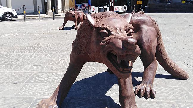 Branchi di lupi in ferro in centro a Firenze: ma i feroci siamo noi