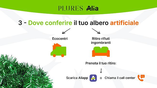 Come smaltire correttamente  gli alberi di Natale