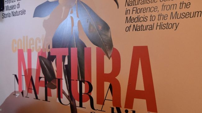 «Natura collecta, Natura exhibita»