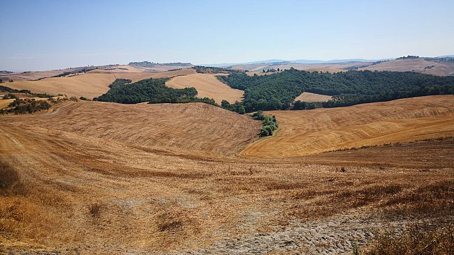 Cerealicoltura, la proposta: “Si crei una filiera per i prodotti del ‘granaio Italia’”
