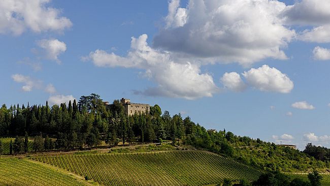 “Brave! Le aziende che accendono l’Italia” su Timvision