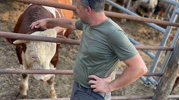Un’altra tragedia sulle strade toscane a causa dei cinghiali