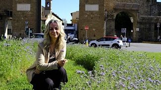 Facelia amica delle api, c'è anche a Firenze