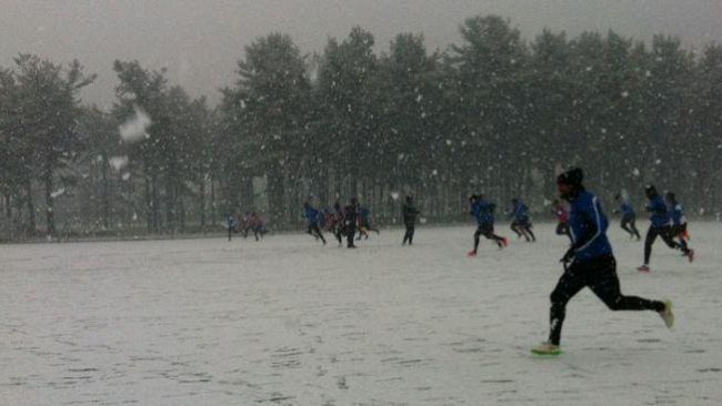 Fiorentina-Atalanta domenica 8 febbraio alle 12.30