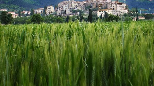 Rapolano Terme: il territorio svela i suoi tesori in linguaggio 3.0