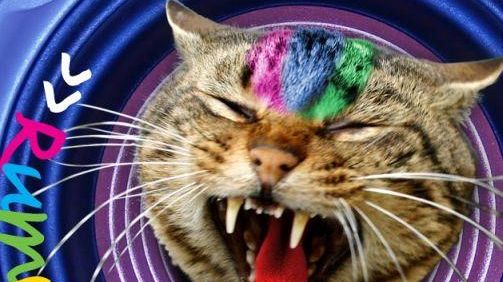 Musica, Rumors: concorso musicale della Regione Toscana