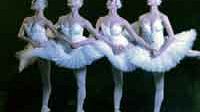 Pisa: martedì 8 febbraio (ore 21), al Teatro Verdi, il Russian National Ballet