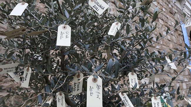 Covid, i nomi dei 1000 morti fiorentini come foglie di ulivo