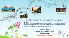 Gastronomarcia di Monsanto