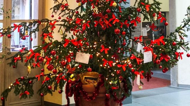 Un super albero di Natale all'ingresso dell'ospedale
