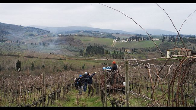 Scuola Contadina (gratis) nella tenuta di Mondeggi