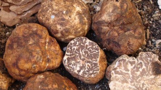 Cosa fare a Prato nel week end