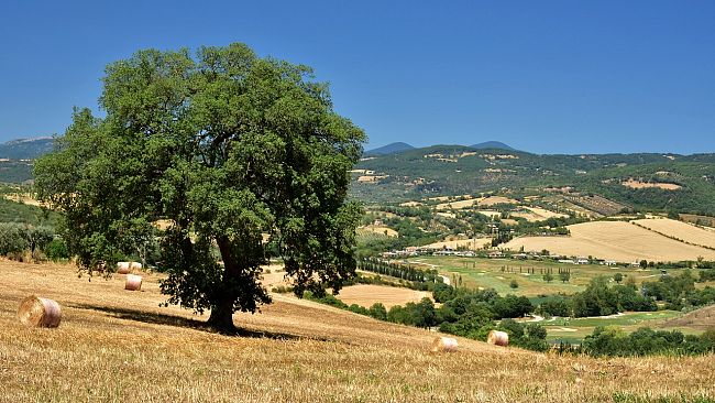 Cooperative di comunità: una realtà concreta contro lo spopolamento