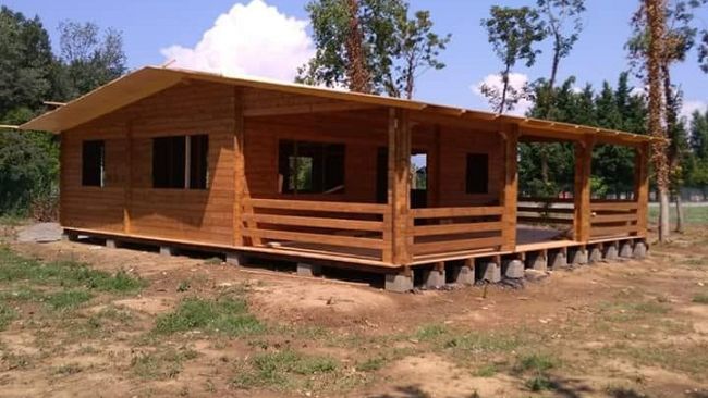 Un allevamento di alpaca per offrire un lavoro  a ragazzi con disabilità intellettiva e relazionale