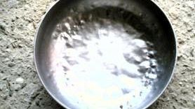 Canile del Termine, esaurite le scorte di cibo