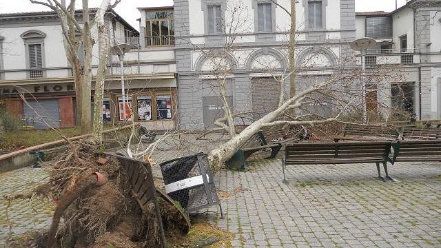 Vento: danni a Firenze, nel Mugello Autodromo in frantumi