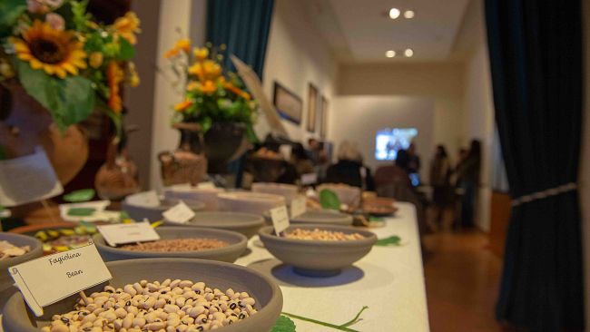 ​Chiusi: gioco Porsenna's Escape diventa modello per la formazione Erasmus