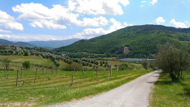 Raid violento alle Caldine: interviene il Sindaco di Fiesole