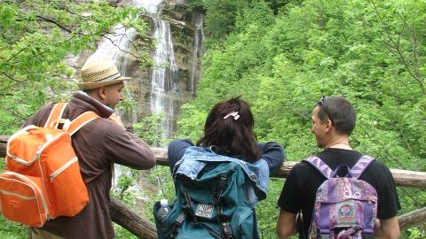 Un bus navetta da Contea al Parco Foreste Casentinesi