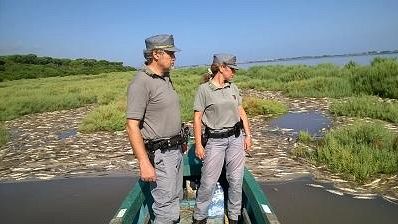 Laguna di Orbetello: l'assessora Monni convoca il tavolo tecnico