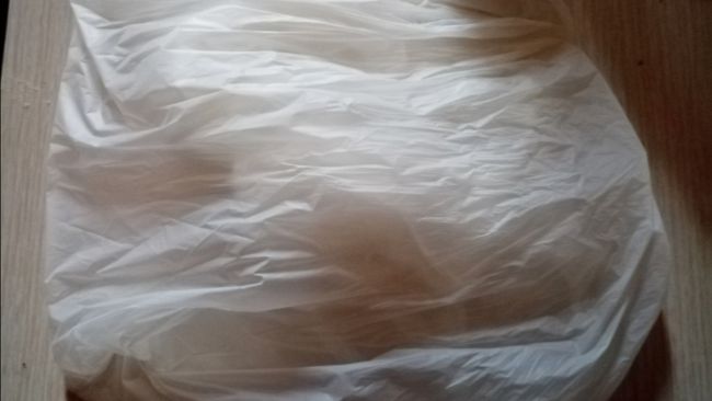 Controlli buste di plastica: sequestrati migliaia di pezzi illegali