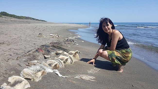 Gigante del mare spiaggiato nel Santuario dei Cetacei