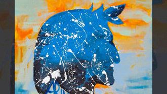 Dante, l'Italiano: gratis il volume della Crusca