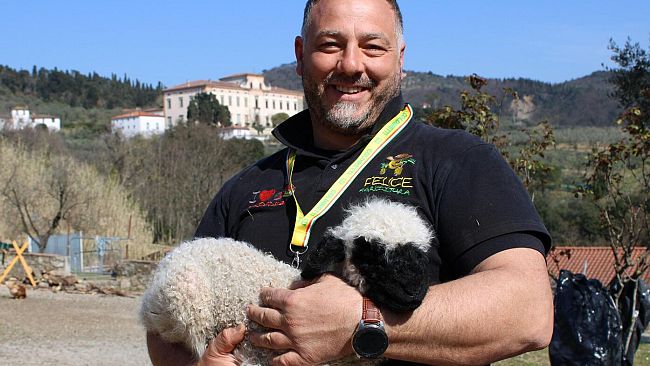 Pecora dal muso nero nasce il 25 marzo: si chiama Dante