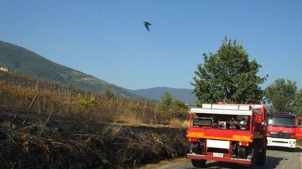 incendi-elicotteri-in-azione-a-punta-ala-e-a-sinalunga