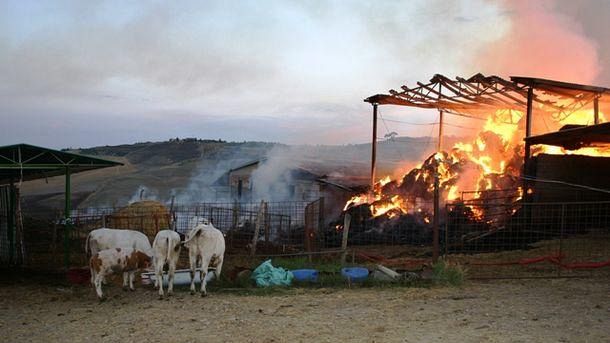 Toscana a fuoco, Maremma bruciata, una regione preda dei piromani