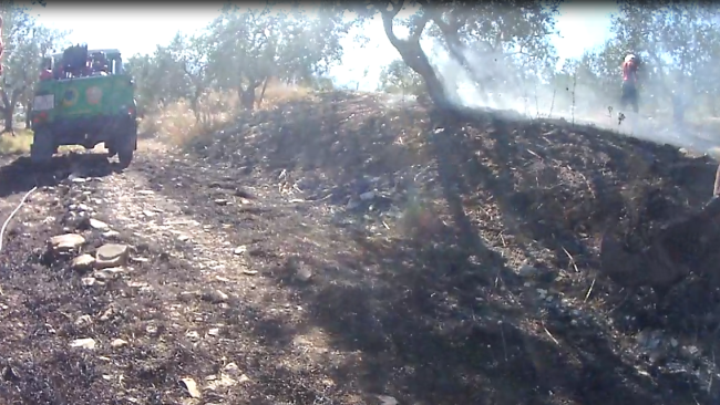 Arezzo: tragedia in un oliveto