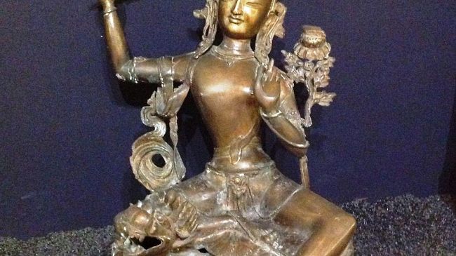 Passaggio in India al Museo di Storia Naturale dell’Università