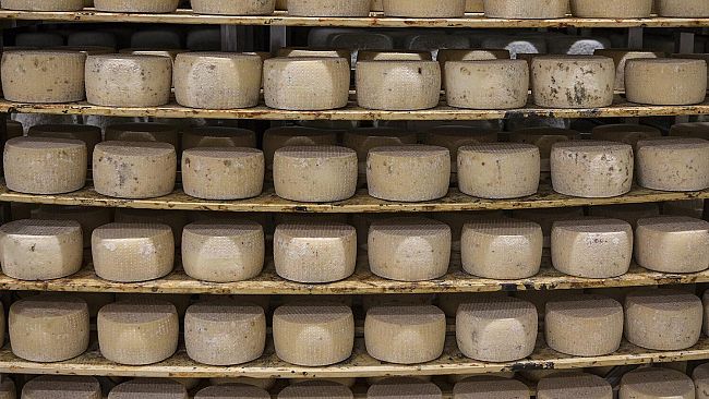 Pecorino Toscano DOP: +25% di export grazie al mercato USA e canadese