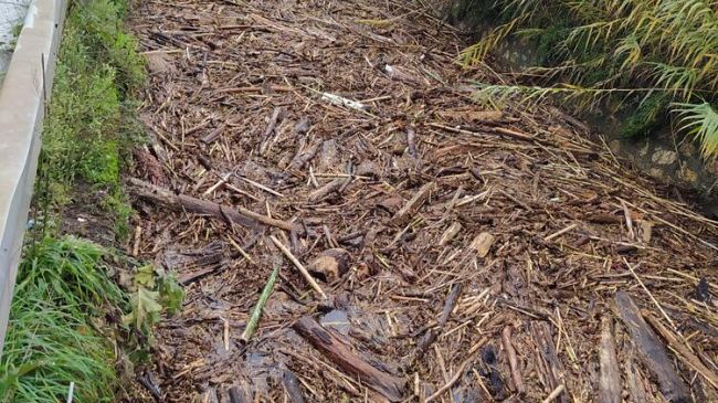 Maltempo: esonda l'Arnaccio, stasato il Ricortola