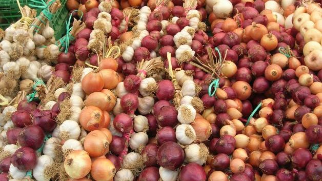 Signa, torna la Sagra della Cipolla