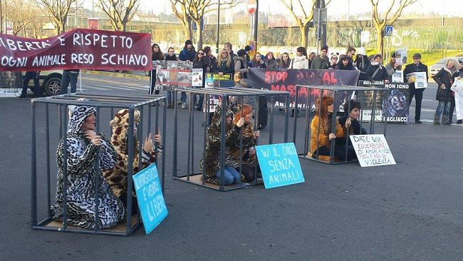 Firenze protesta contro il Circo degli animali