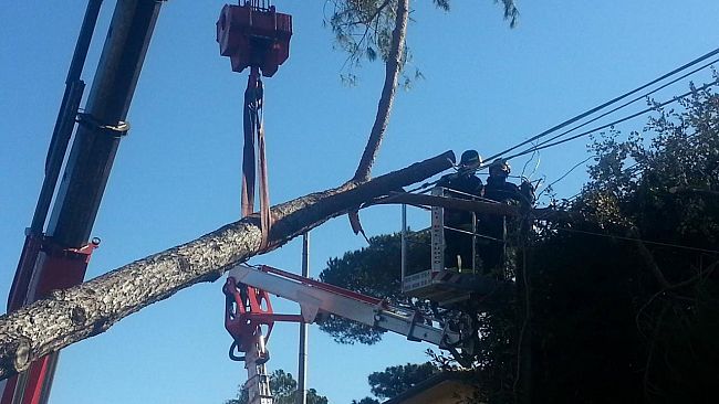 Montagna: si scoprono i danni ai boschi di Vallombrosa e in Alta Versilia