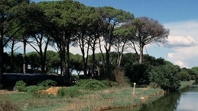 Natura in Toscana: calendario delle iniziative per l'estate in Toscana