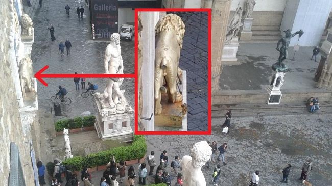 Firenze, il leone di Palazzo Vecchio con la coda tra le gambe