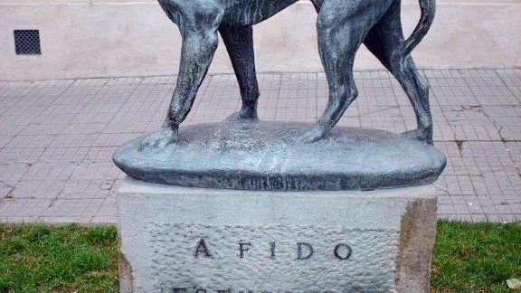 Borgo: Fido, storia di fedeltà a quattro zampe