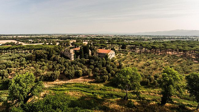 Villa Donoratico Bolgheri DOC Rosso 2021