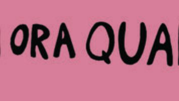 Se non ora quando è un movimento politico