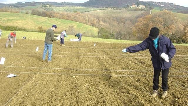 Orto e dintorni: otto incontri dedicati alla coltivazione della terra