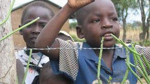 SMS di Rifredi: mostra fotografica su un villaggio della provincia di Nyanza in Kenya<BR>L’inaugurazione domani, venerdì 15 dicembre, ore 19