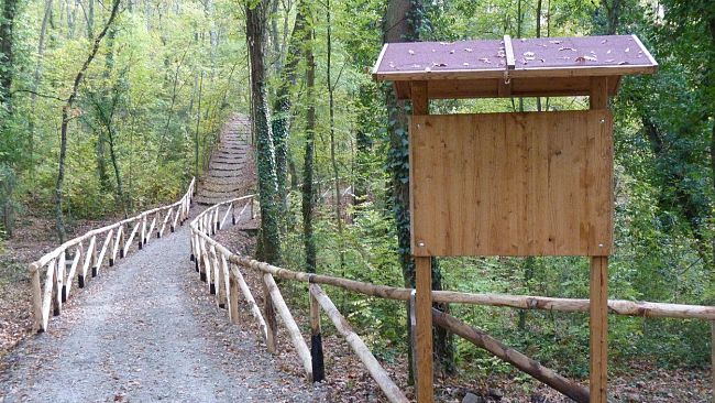 Parco di Mondeggi, un bosco a portata di cittadino