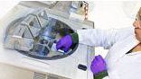 Università di Firenze: verranno sequenziati i genomi di due batteri che contribuiscono alla crescita delle piante