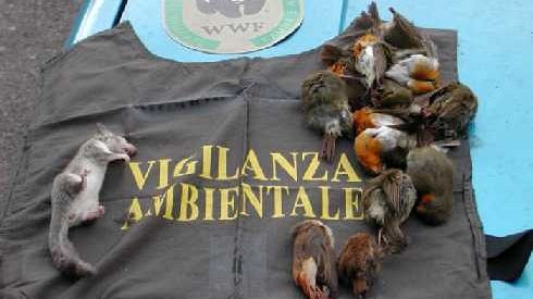 Reati ambientali, il Wwf presenta il bilancio 2010