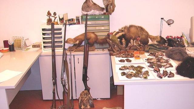 Luciana: reti per la cattura di uccelli e specie vietate