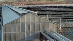 Iso 14001: è di Torre del Lago la prima azienda di florovivaismo certificata in gestione ambientale